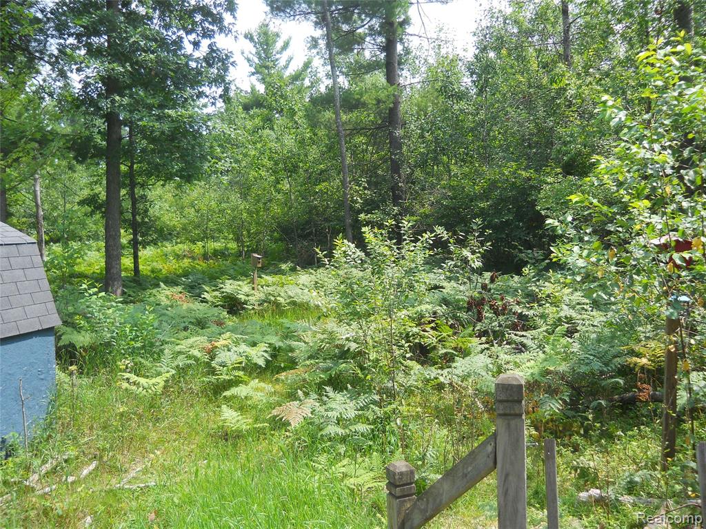 1185 E Hughes Lake Road, Rose City, MI 48654 — Photo 22