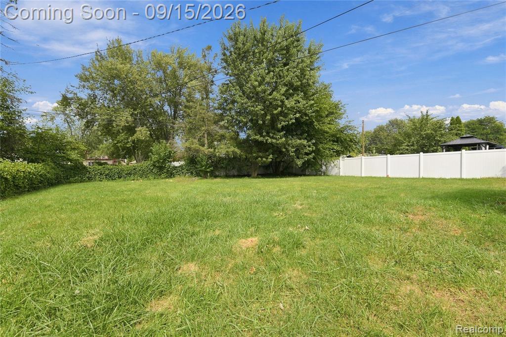 Photo 6