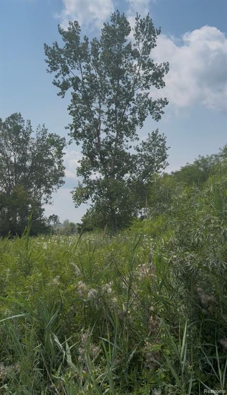 0 S Pennsylvania Road - Photo 2
