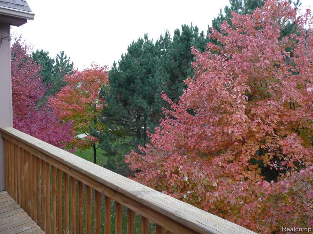 722 S Milford Road, Milford, MI 48381 — Photo 12