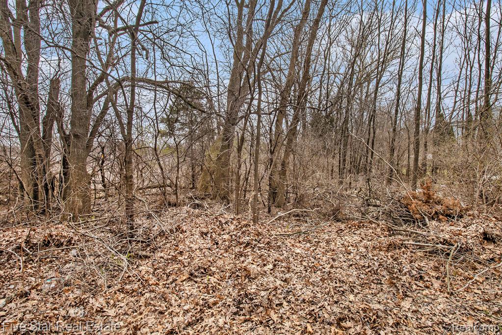 0000 Dickert Street, Commerce Twp, MI 48382