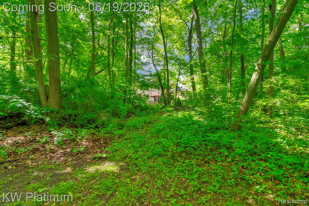 4270 Greenview Circle, Fort Gratiot, MI 48059 — Photo 55