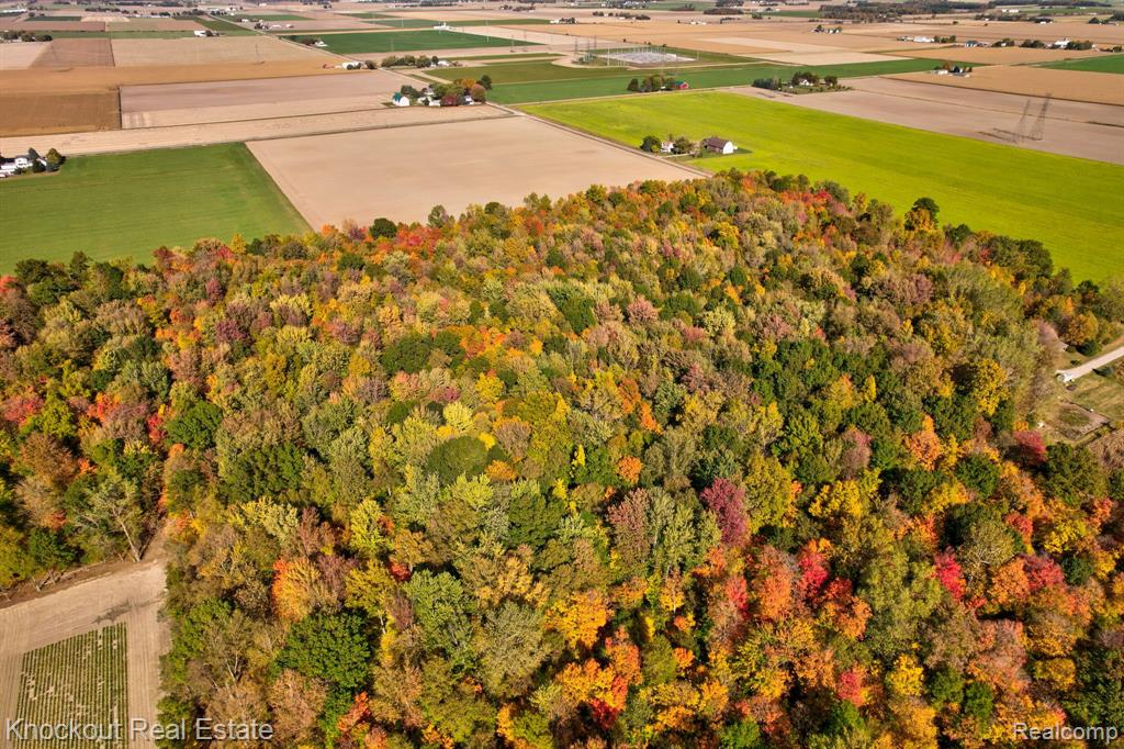 4000 S Reese Road, Frankenmuth, MI 48734 — Photo 10