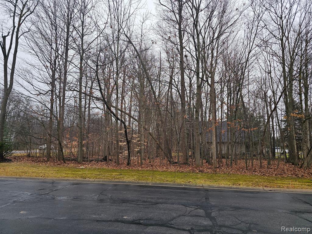 2291 WOODS WEST Drive, Flushing, MI 48433 — Photo 19