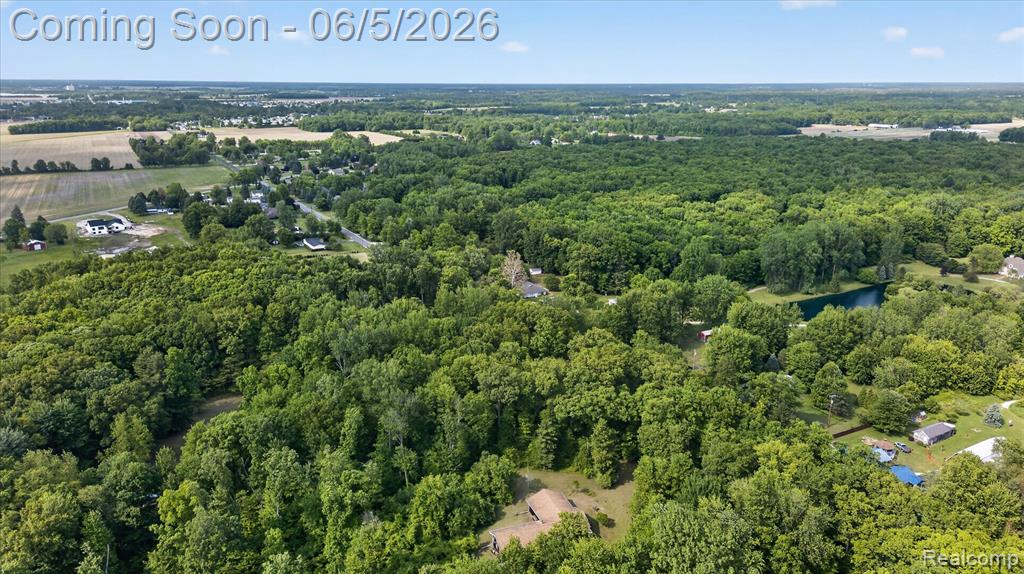 2083 Wells Road, Dundee, MI 48131 — Photo 50