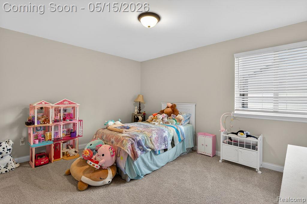 49281 Percheron Drive, Macomb, MI 48042 — Photo 23