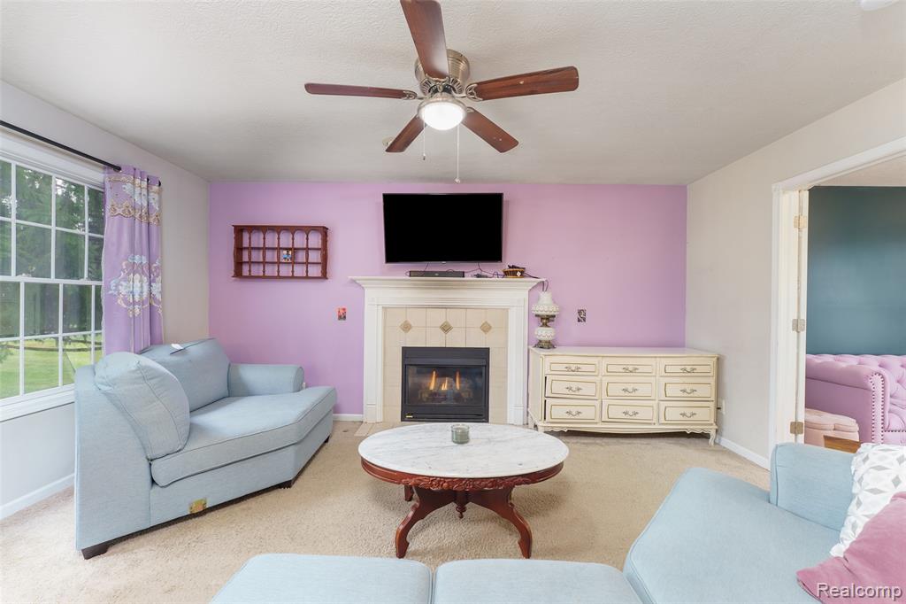 10887 Mackinaw Trail, Fowlerville, MI 48836 — Photo 10