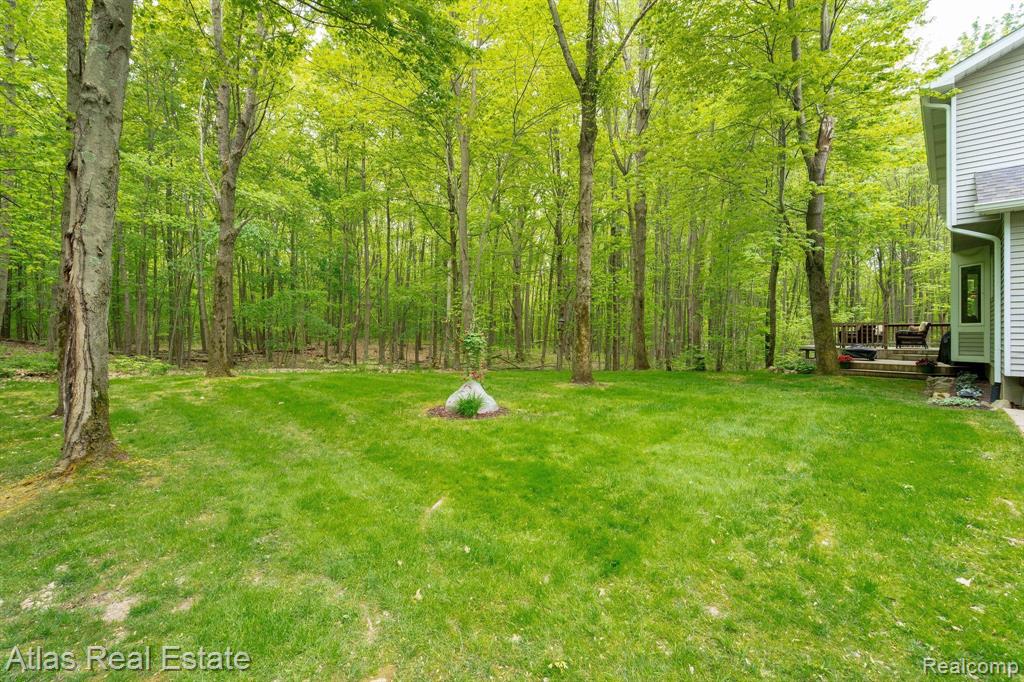 4217 PHILLIPS Road, Metamora, MI 48455 — Photo 9