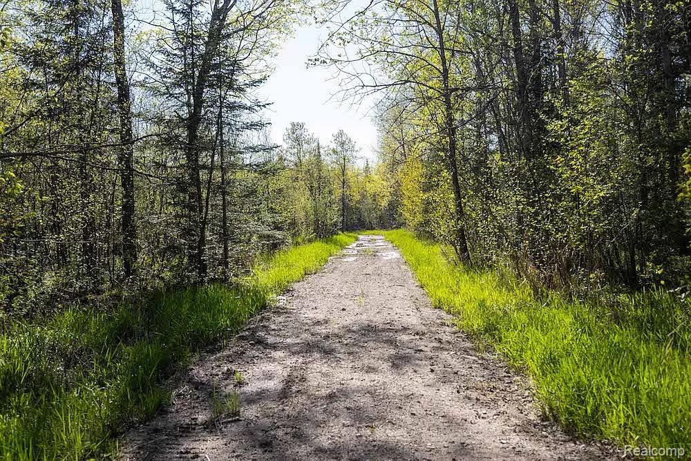 18031 State Highway M28, Newberry, MI 49868 — Photo 57