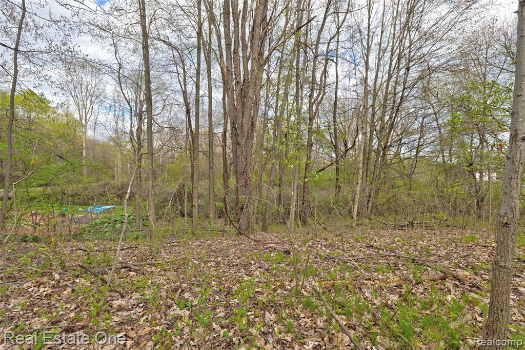 590 Judi Ann Lane, Holly, MI 48442 — Photo 33