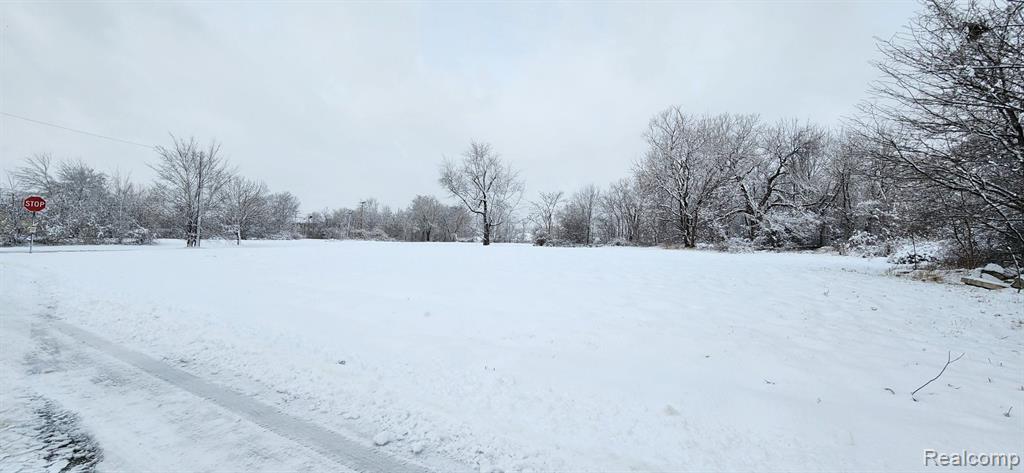 4200 LAWTON Street, Detroit, MI 48208 — Photo 13