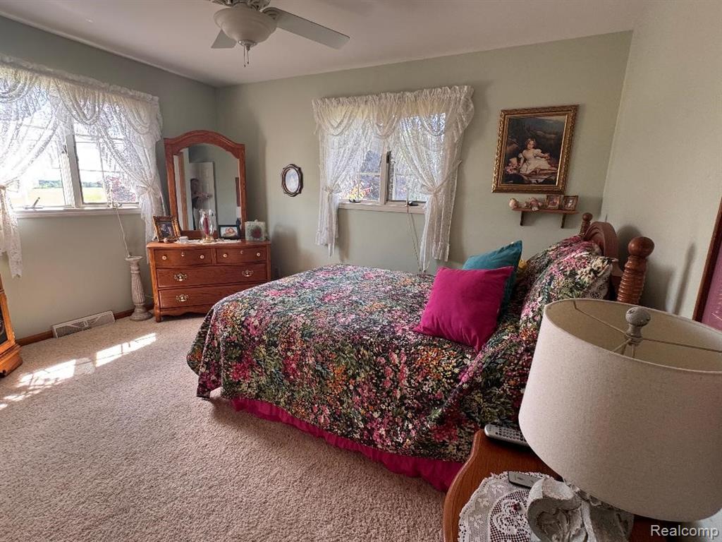 6686 Schott Road, Mayville Vlg, MI 48744 — Photo 13