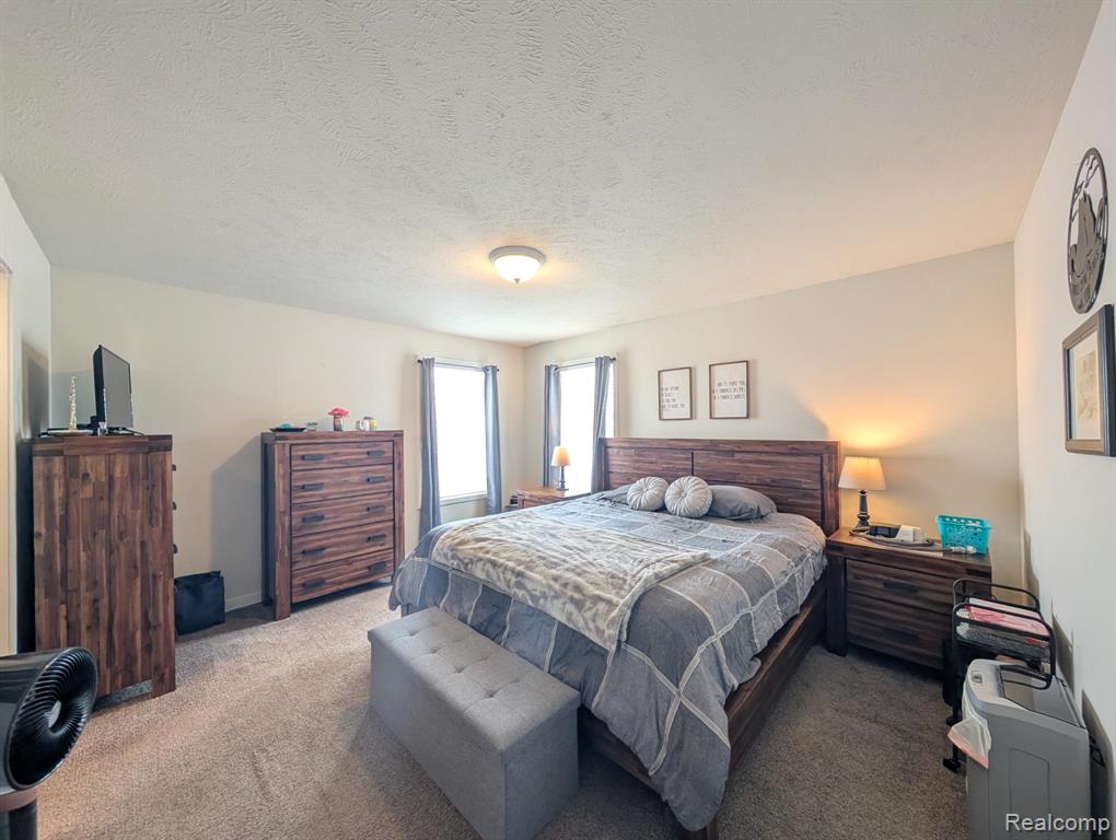 11219 Wildbrook Court, South Lyon, MI 48178 — Photo 12