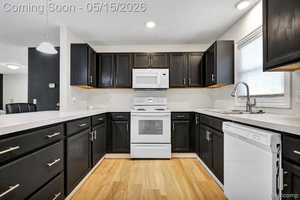 730 Cherry Street, Charlotte, MI 48813 — Photo 14