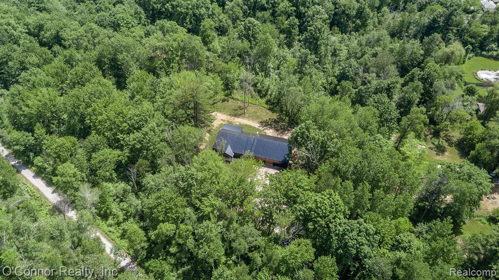 3650 Rabidue Road, Clyde, MI 48049 — Photo 48