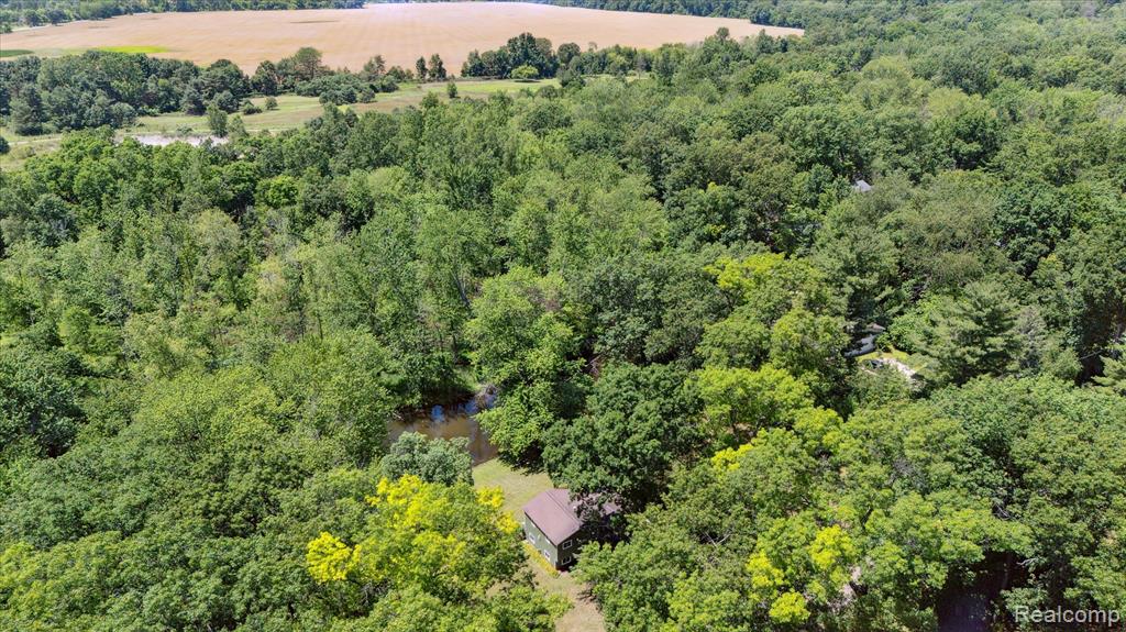 15279 Outer Drive, Linden, MI 48451 — Photo 61