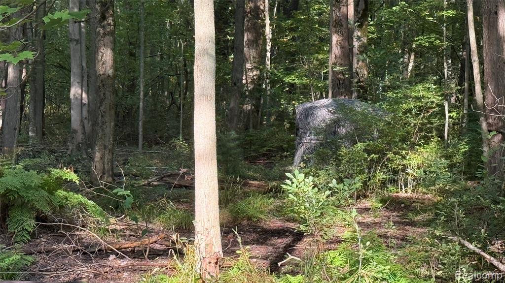 V/L McLain McLain Road, Clyde, MI 48049 — Photo 16