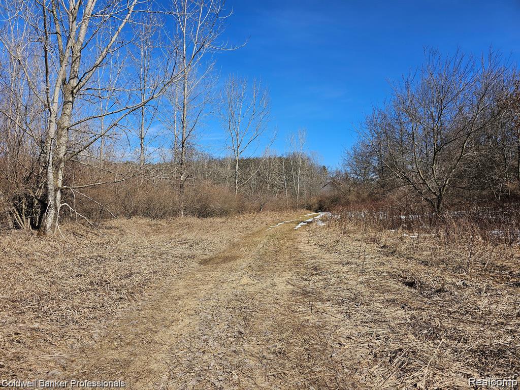 0 Jamestown Drive, Metamora, MI 48455 — Photo 10