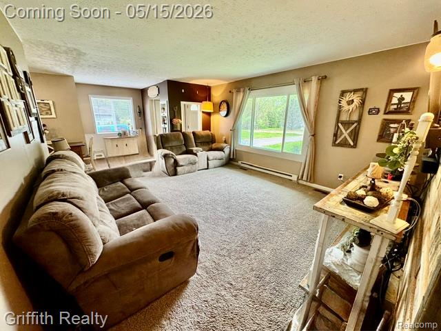3148 Hogback Road, Fowlerville, MI 48836 — Photo 34