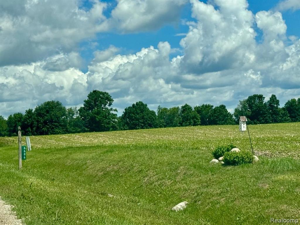 6686 Schott Road, Mayville Vlg, MI 48744 — Photo 22
