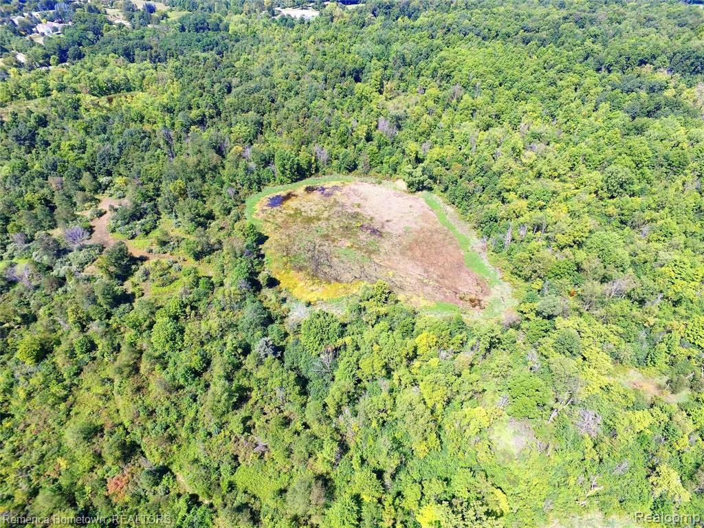 9343 FIVE MILE Road - Photo 4