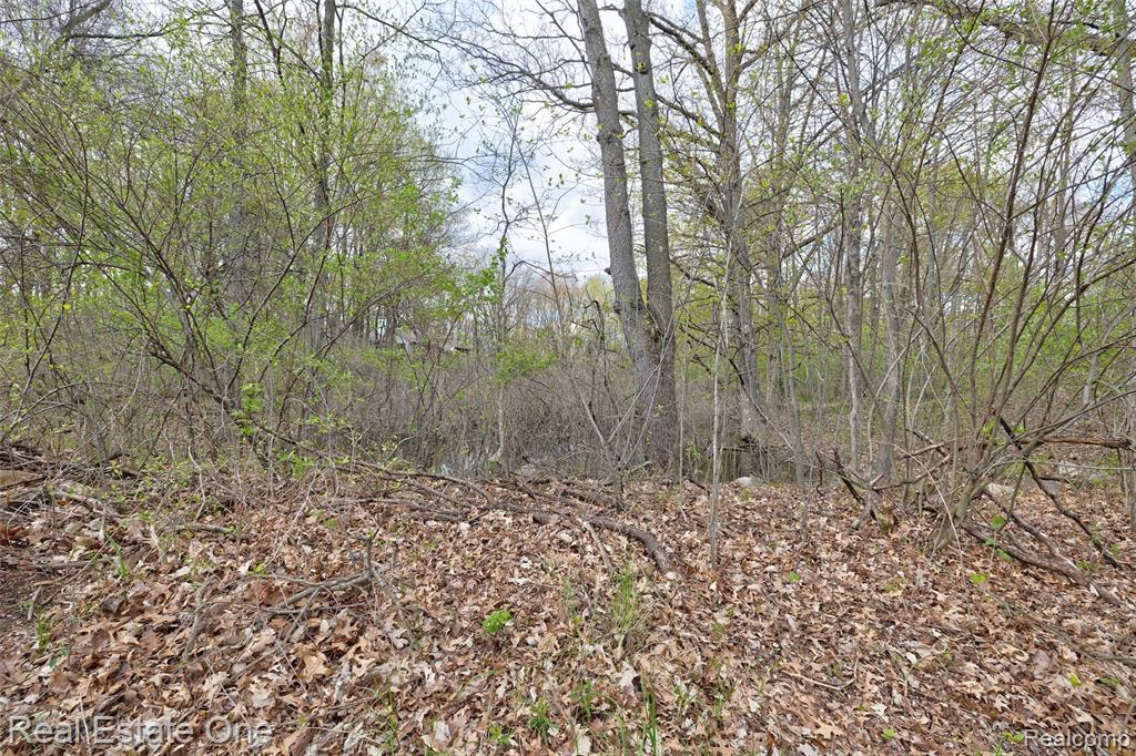 590 Judi Ann Lane, Holly, MI 48442 — Photo 29