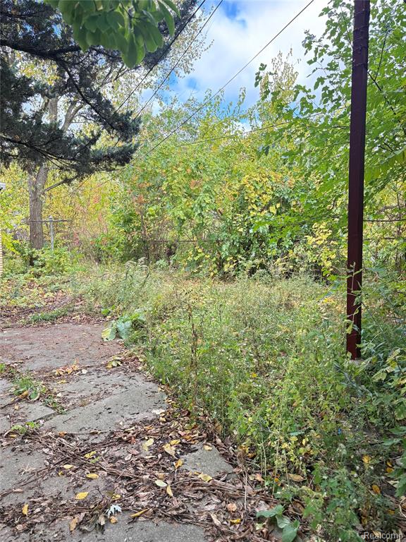 5235 Chalmers Street E, Detroit, MI 48213 — Photo 5