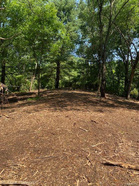 4 Sleaford-Parcel 4 - 32.92 Acres Road, Howell, MI 48843 — Photo 14