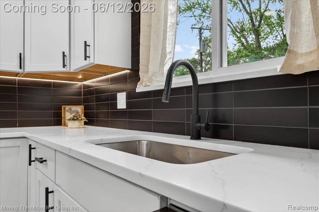 49515 W Huron River Drive, Belleville, MI 48111 — Photo 14