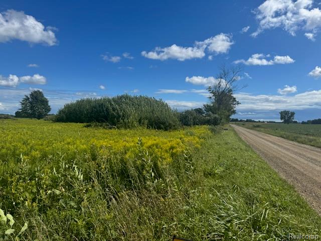 0001 Duquette Road, Peck, MI 48466 — Photo 6