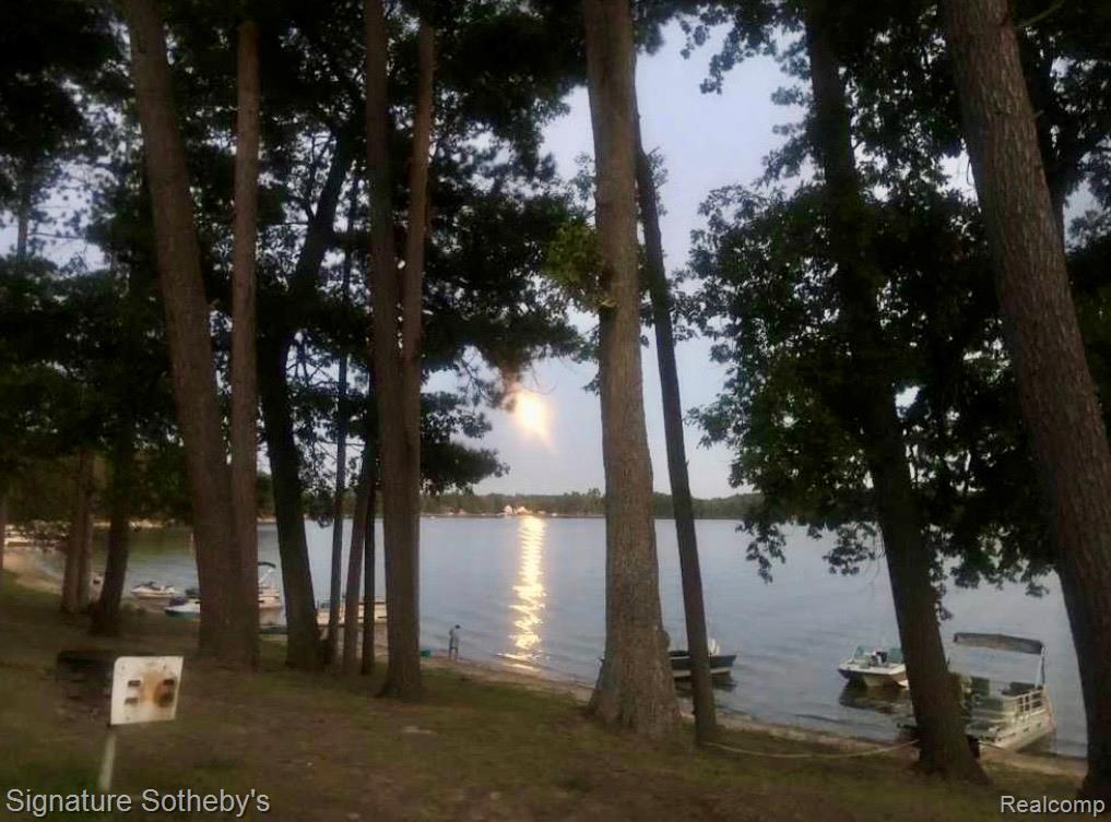 229 Forest Trail, Leroy, MI 49655 — Photo 9