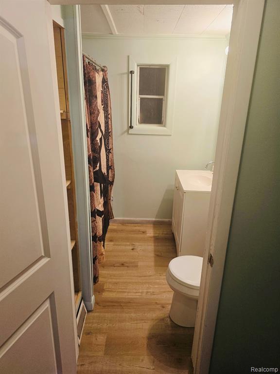 323 N Bankson Street, Saint Louis, MI 48880 — Photo 10