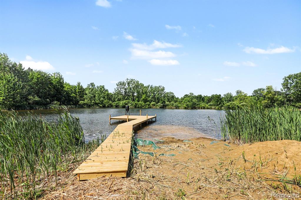 4202 Kingston Road, Kingston, MI 48741 — Photo 13