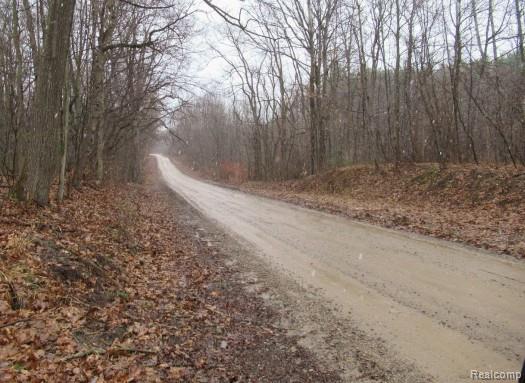 14510 Washburn Road, Otter Lake, MI 48464 — Photo 3