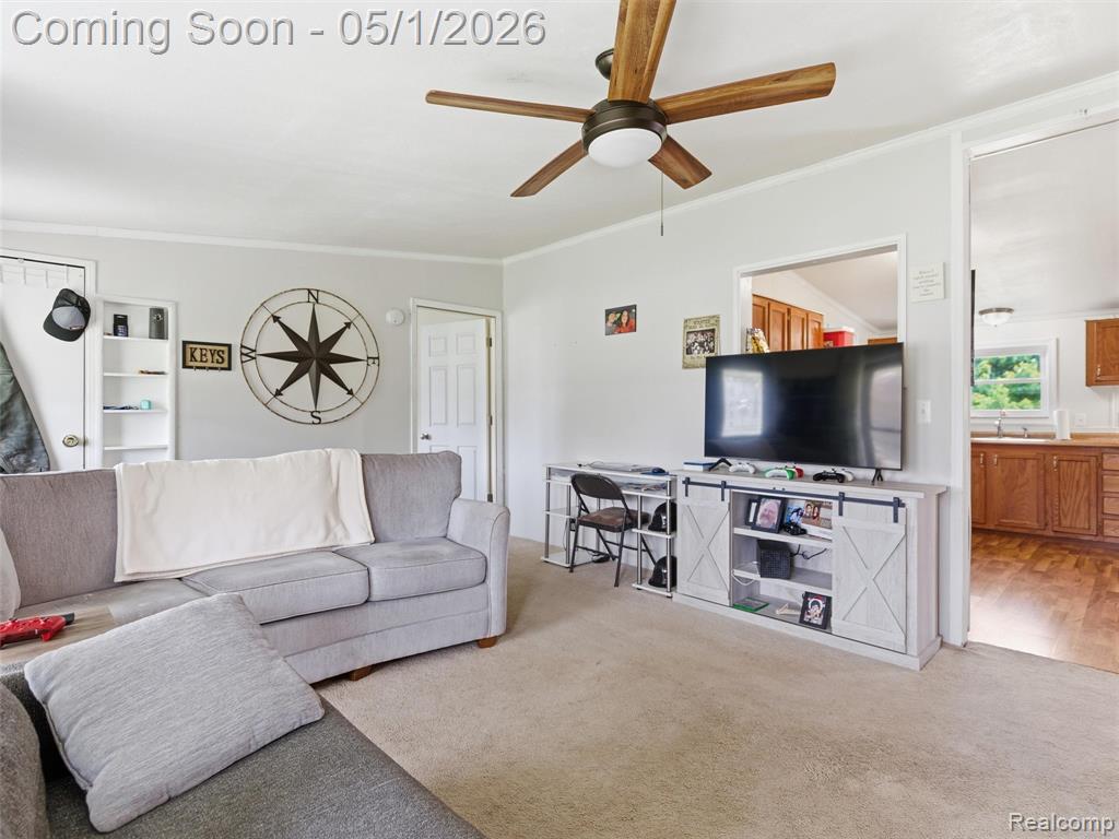 616 N Blacks Corners Road, Imlay City, MI 48444 — Photo 8