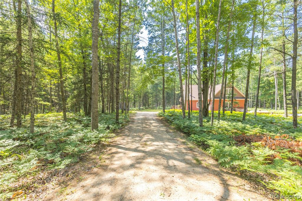 4345 Brenda Court, MI 48656 — Photo 13