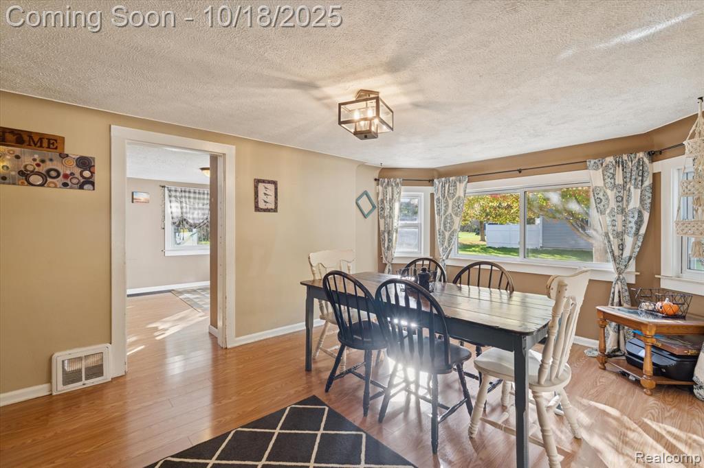 802 Tickner Street, Linden, MI 48451 — Photo 12