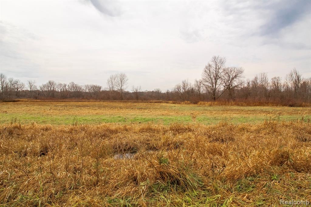 VL Roods Lake Road, Lapeer, MI 48446 — Photo 2