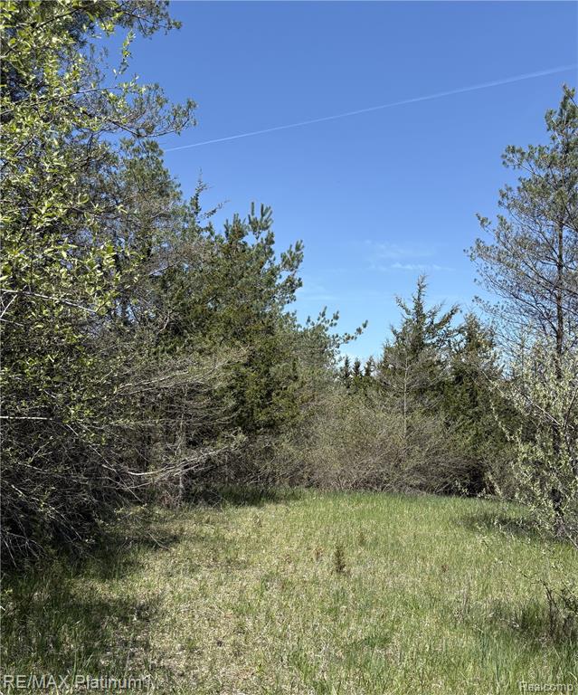Parcel 3 Pineway Trail, Howell, MI 48855 — Photo 2
