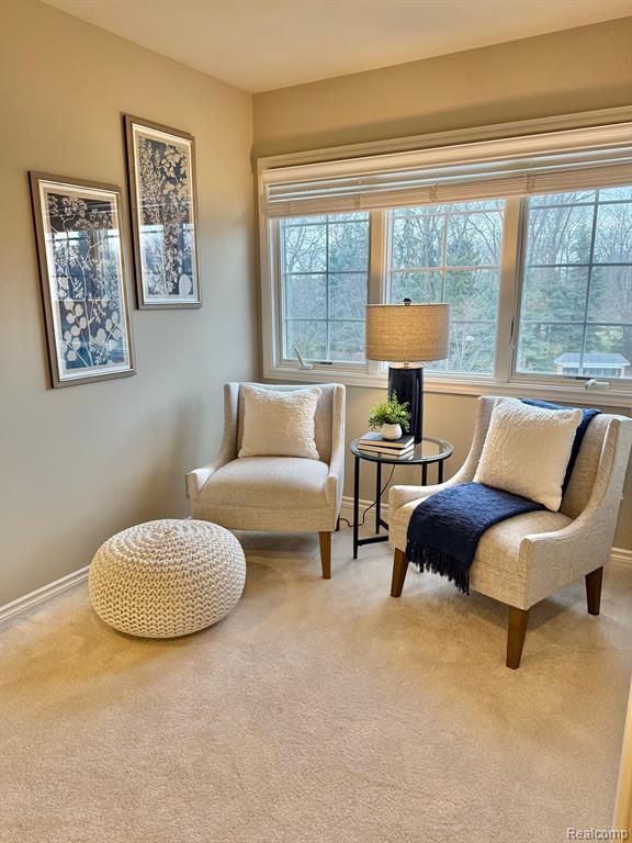 758 SEABISCUIT Drive, Troy, MI 48084 — Photo 39