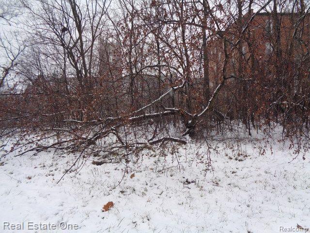 2691 ROCHESTER Street, Detroit, MI 48206 — Photo 16
