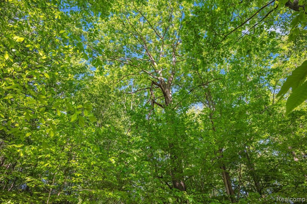 6250 Stine Road, Imlay City, MI 48444 — Photo 74