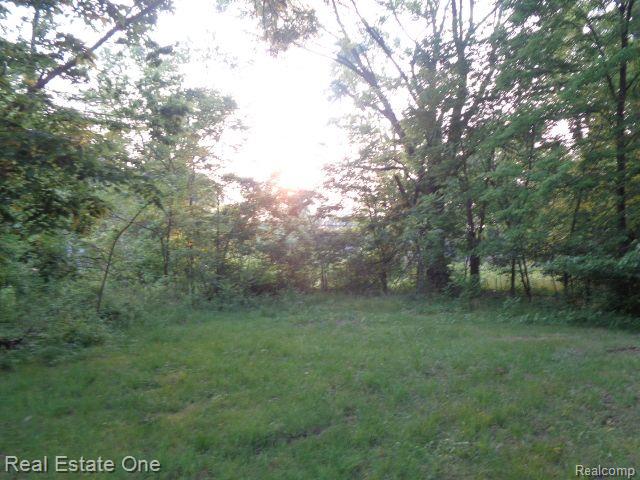 14549 DACOSTA Street, Detroit, MI 48223 — Photo 4