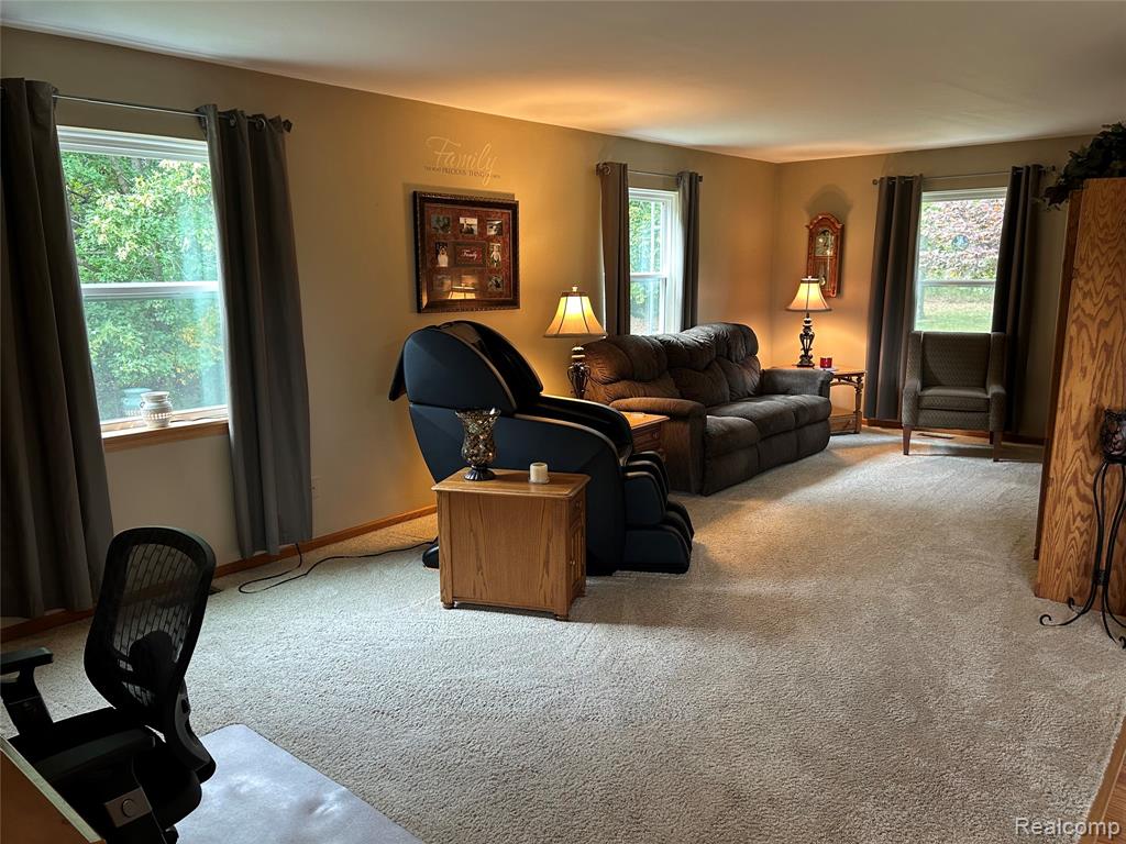 8812 S Byron Road, Gaines Vlg, MI 48436 — Photo 5