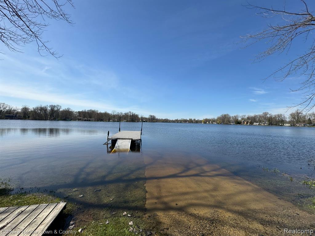 333 FAIRMOUNT Street, Whitmore Lake, MI 48189 — Photo 5