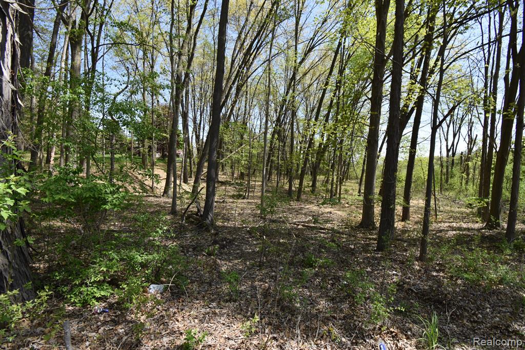 10146 ISLAND LAKE Road, Dexter, MI 48130 — Photo 3