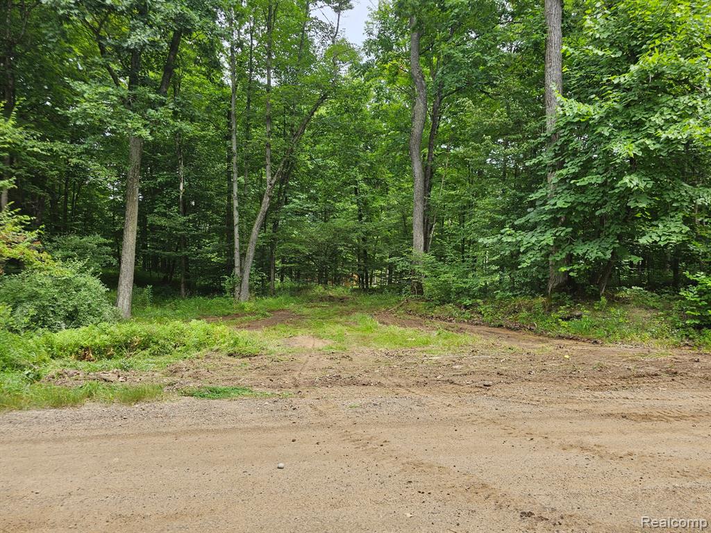 8600 Eagle Road, Holly, MI