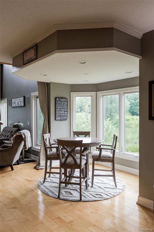 9050 Lake Dominion Drive, Brighton, MI 48114 — Photo 9