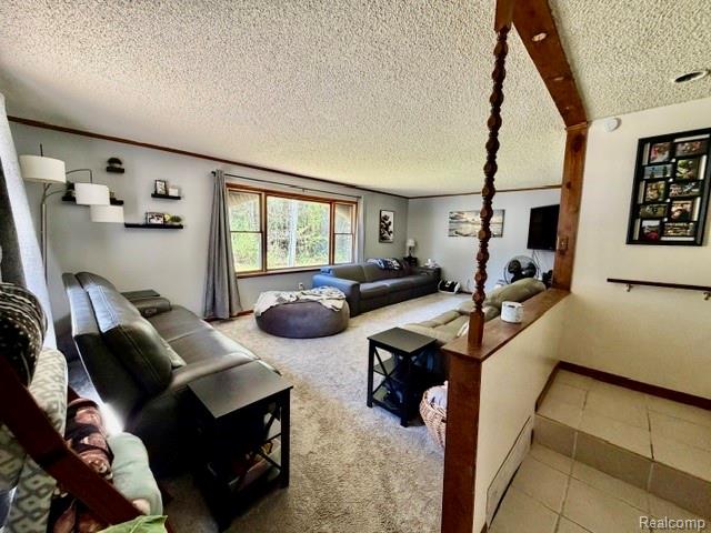 6087 Cyclone Road, Otter Lake, MI 48464 — Photo 13
