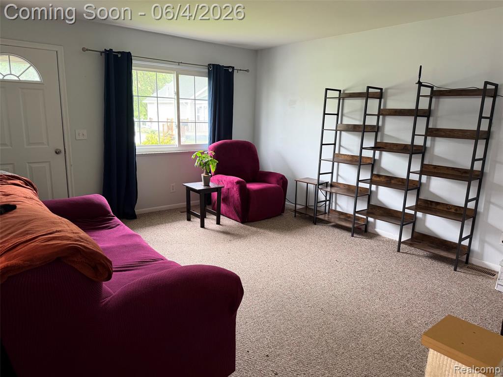 714 Lowell Street, Marine, MI — Photo 12